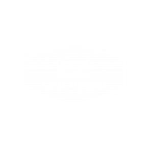 EZ LED Visual Logo